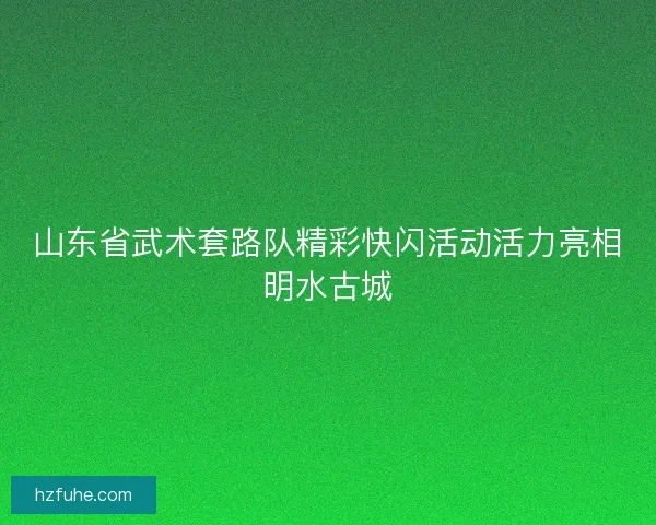山东省武术套路队精彩快闪活动活力亮相明水古城