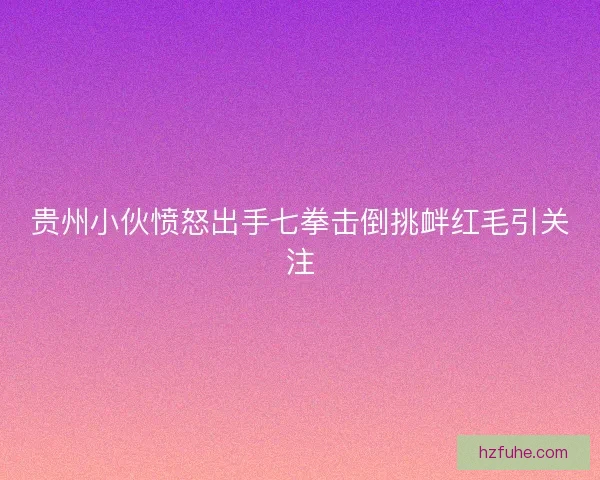 贵州小伙愤怒出手七拳击倒挑衅红毛引关注